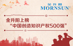 承军人之志，做创新之师&mdash;&mdash;金升阳上榜&ldquo;中国创造知识产权500强&rdquo;