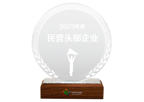 2023年度民营头部企业