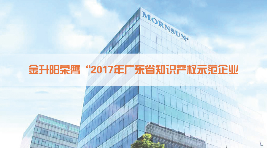 金升阳荣膺&ldquo;2017年广东省知识产权示范企业&rdquo;